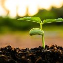 푸른여인숙 이미지