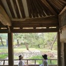 오렌지 꽃향기는 바람에 날리고 이미지