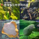 월드할인마트 | 잠실 아이랑 가기 좋은 롯데월드 아쿠아리움 후기 할인 정보