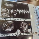 순풍산부인과의원 이미지
