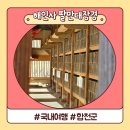경남 여행 합천 가볼 만한 곳 해인사 주차, 팔만대장경 관람 후기