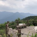 고헌농장 이미지