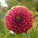 김해시민장례식장 이미지