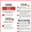 댕댕잡화점 이미지