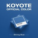 코요태, 데뷔 24년 만에 공식색 ‘스트롱 블루’ 선정(공식) 이미지