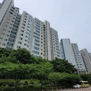 퀸덤 1차 아인슈타인 이미지