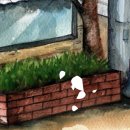 사랑이피는약국 이미지