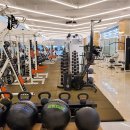 피지컬프로PT 이미지