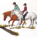 훼밀리승마클럽 이미지