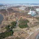 울산 개운포 좌수영성 이미지