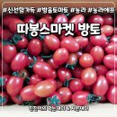 따봉스마켓