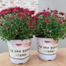 그린화원 - 계양구 효서로 133 | 그린화원