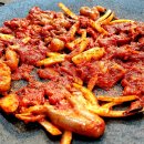 SBS 노래연습장 | 🔥 불광천 산책 후 얼큰하게 한입! 응암역 맛집 ‘보들이쭈꾸미’ 쭈삼볶음 후기