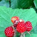 우림부동산중개 이미지