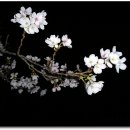 조령PC방 이미지