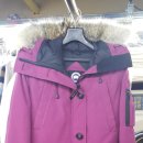 드림명품세탁 이미지