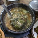 주정차 단속 - 064 | [제주/제주시] 제주공항 근처 현지인 추천 맛집 신설오름 방문 후기_몸국,내돈내산