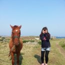 하얀산호 민박 이미지