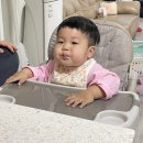 대흘앤 | | 제주 키즈펜션 후기 | 온수풀과 마당이 있는 키즈펜션 솔직후기 :: 대흘앤