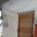 운학송어양어장횟집