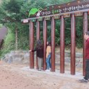 옥천읍행정복지센터 이미지