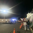 포항 울릉도 크루즈 정보 총정리 왕복탑승 후기