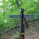 사리산 이미지