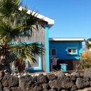 제주애 반하다 이미지