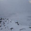 여행하는 나무 이미지