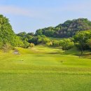 아네시스 이미지