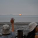 대숲사이 이미지