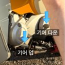 용마자동차정비 | 제주도를 차 말고 오토바이로 다녀보자! / 도파민 제주 여행 / 제주 슈퍼커브🏍️