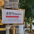 셀럽 CELEB 이미지