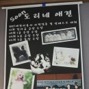 순도리네애견 | 봄맞이 애견미용 달동 순도리네애견샵 에서~