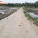 석정5리마을회관 이미지