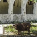 아방궁당구장 이미지