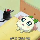 칸지 이미지
