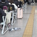 청량리역, 바닥의 생존 이미지