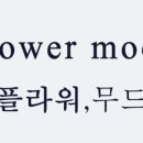 정지영커피학원