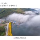 (주)은행나무 이미지
