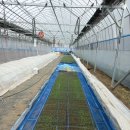 찬들농장 이미지