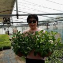 환영농장 이미지