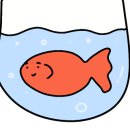 카카츠 이미지