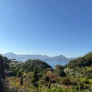 물커피숍 | 외도 보타니아 카페 파노라마커피숍 팥빙수 후기