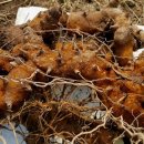 금월농장 이미지