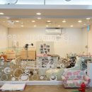 해피퍼피 강아지 유치원 이미지