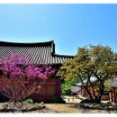 선암사 - 부산진구 부암3동 | 선암사