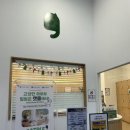 캣플헤븐 AK플라자금정점 이미지