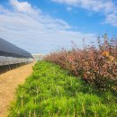 해송2로 이미지