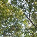 신용목장 이미지